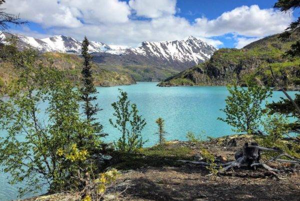 Kenai National Wildlife Refuge