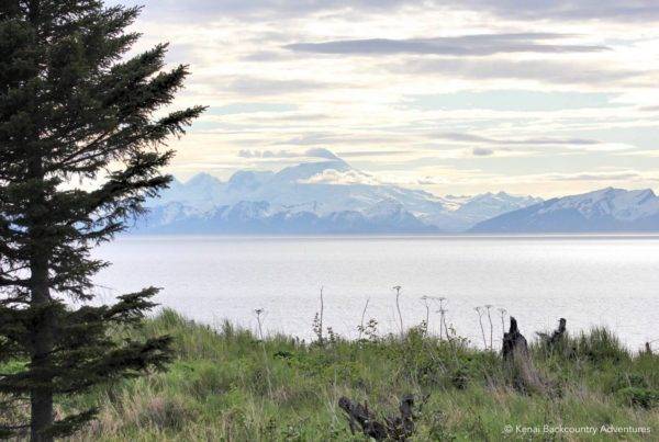 Alaska Adventures Kenai Backcountry Adventures