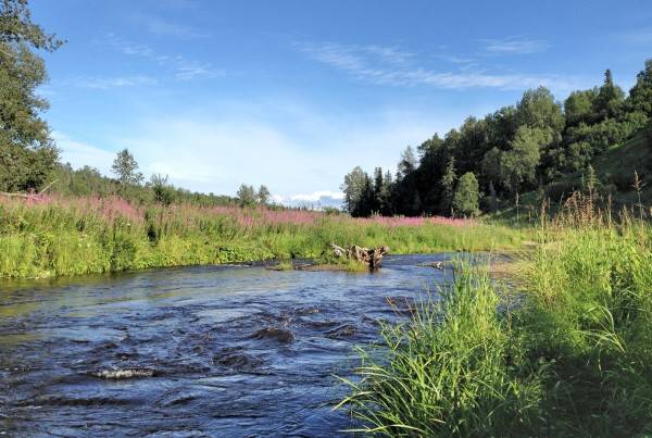 Packrafting Ninilchik River