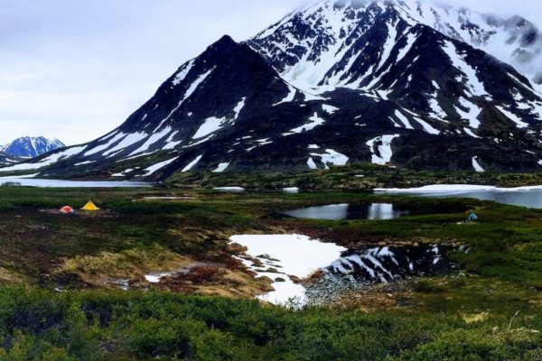 Kenai Mountains and Glaciers Alaska Backpacking-130 Kenai Mountains and Glaciers Alaska Backpacking-130
