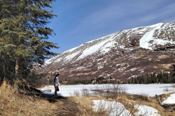 hiking-kenai-backcountry-adventures-alaska