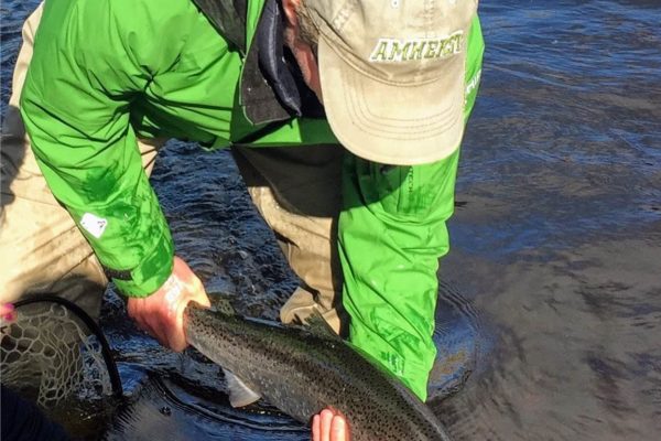 Steelhead-Alaska-Fly-Fishing-Kenai-Peninsula Steelhead-Alaska-Fly-Fishing-Kenai-Peninsula