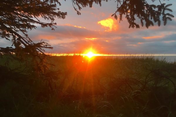 Alaska Bears Base Camp - Kenai Backcountry Adventures