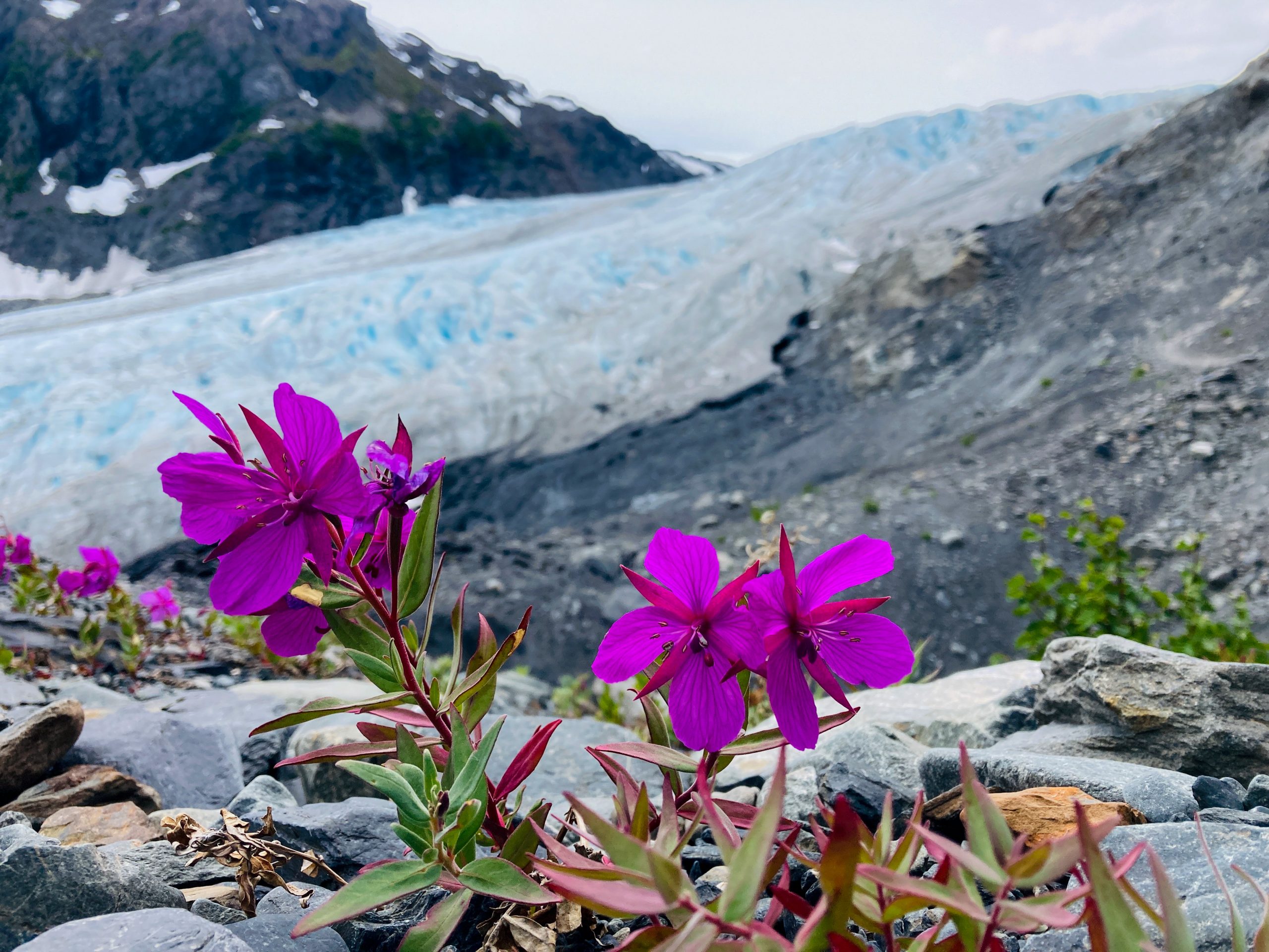 TRIP REPORT: Exit Glacier Ice Hiking Adventure 7/3/22